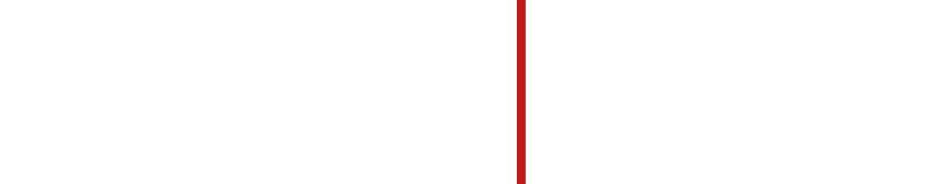 Verity Logo White